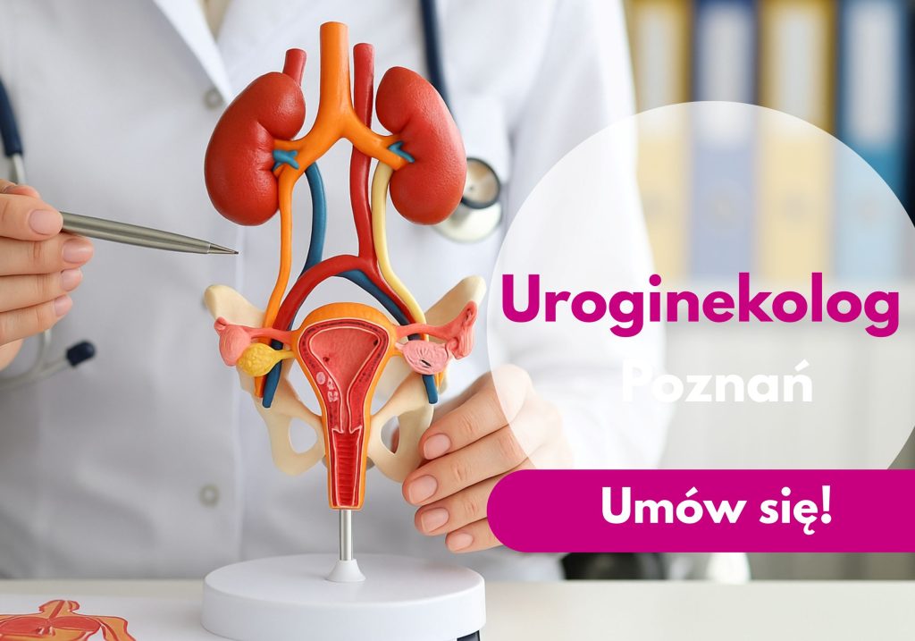 uroginekolog_poznan_neomedica_usg_uroginekologiczne_ginekolog