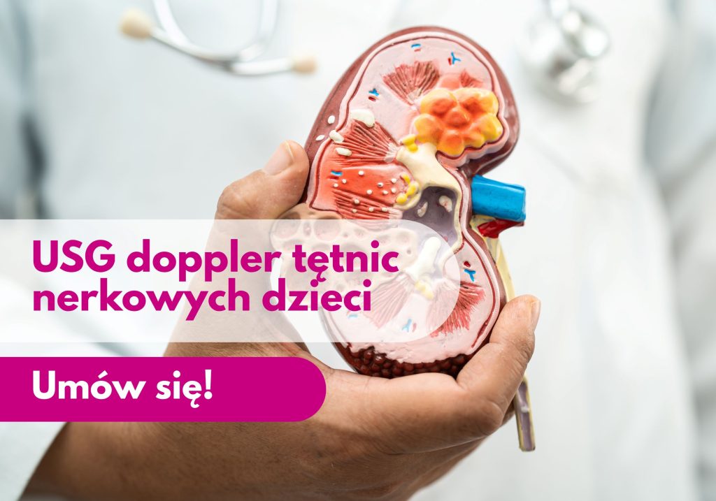 Lekarz ze stetoskopem na szyi trzyma figurkę przedstawiającą przekrój nerki – ilustracja dotycząca USG doppler tętnic nerkowych u dzieci w Centrum Medycznym neoMedica w Poznaniu.