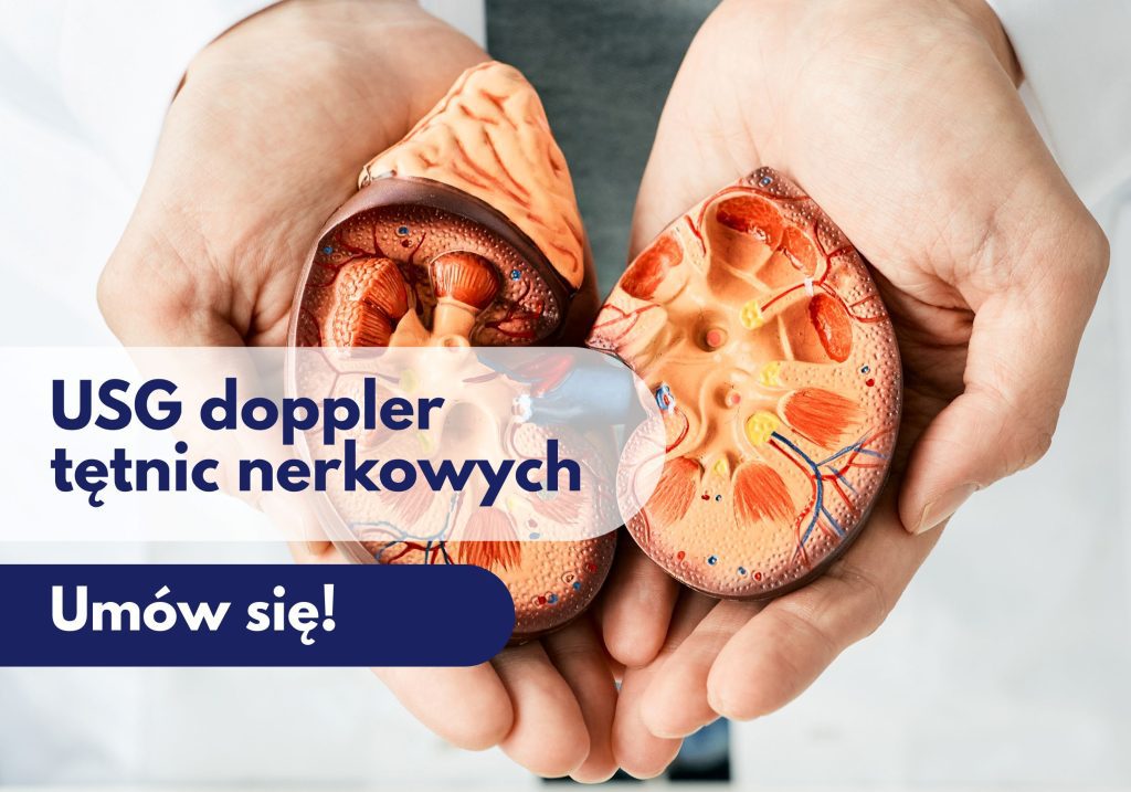 Lekarz trzyma figurkę przedstawiającą przekrój nerki – ilustracja dotycząca USG doppler tętnic nerkowych w Centrum Medycznym neoMedica w Poznaniu.
