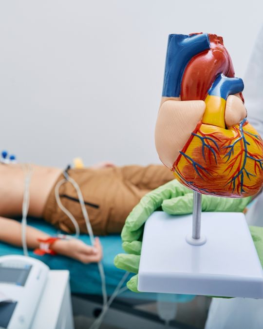 holter RR, Holter EKG, kardiolog dziecięcy, echo serca, badanie ekg dziecka