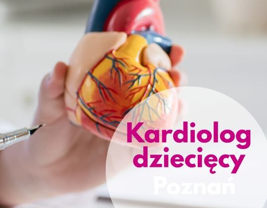 Kardiolog dziecięcy Centrum Medycznego neoMedica w Poznaniu wskazuje na model narządu serca.