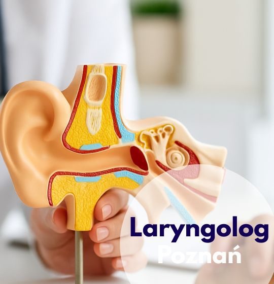 laryngolog, laryngolog dziecięcy Poznań, usg ślinianek