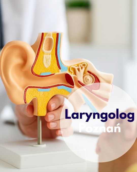 laryngolog, laryngolog dziecięcy Poznań, usg ślinianek