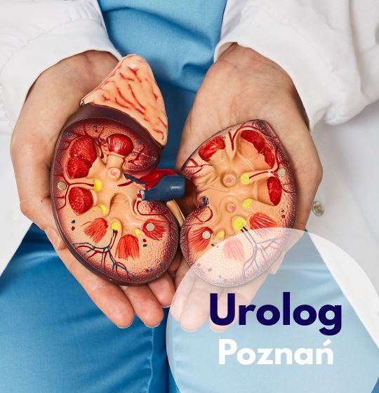 urolog poznań, wizyta u urologa, usg prostaty