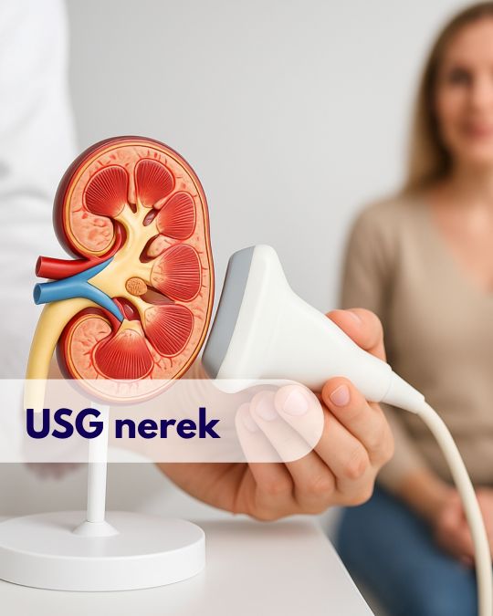 badania USG, radiolog, radiologia poznań, usg poznań