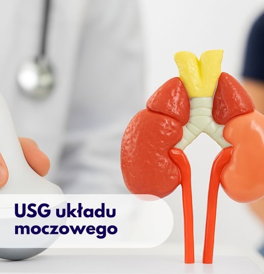 Głowica USG przykładana przez lekarza do modelu przedstawiającego układ moczowy, w tle zamazana sylwetka kobiety podczas wizyty w Centrum Medycznym neoMedica w Poznaniu.